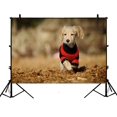 thumbnail image 1 of EREHome Toile de Fond en Polyester Teckel 7x5ft pour Studio, 1 of 3