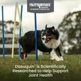 thumbnail image 2 of Nutramax Dasuquin for Large Dogs, Joint Health Supplement, Contains Glucosamine for Dogs, Plus Chondroitin, ASU, MSM and More, Supports Healthy Joints, Soft Chews, 84 Count, 2 of 11