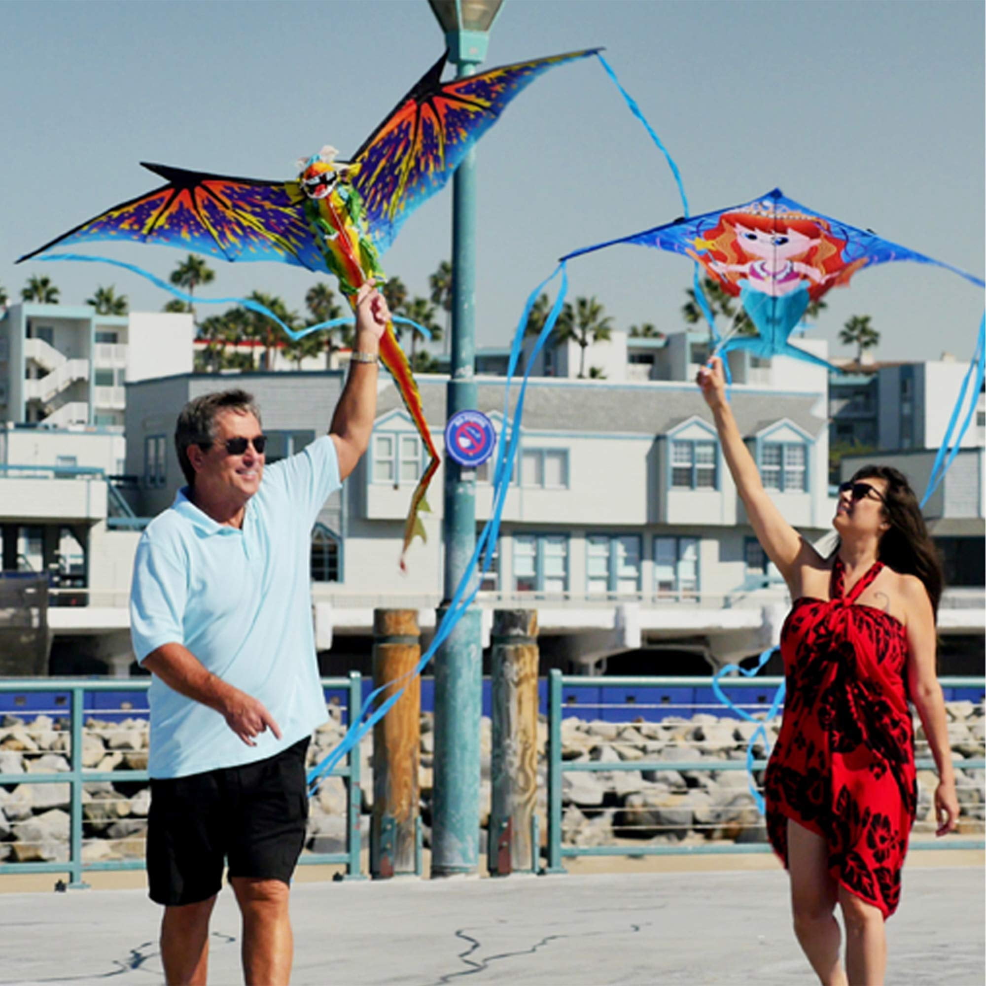 WindNSun Supersize Ultra High Definition 2D Large Ripstop Nylon Kites