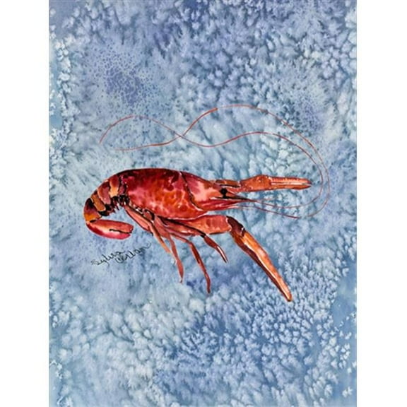 28 x 40 in. Crawfish Flag Canvas House Size