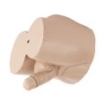 thumbnail image 5 of Interesting Flower Pot Gift Flower Pot for Small Indoor Plants and Succulents Home Decor, 5 of 5