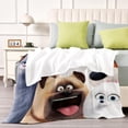 thumbnail image 4 of La Vida Secreta de tus Mascotas anti-pilling, suave, ligera, esponjosa y acogedora de lujo para hogar y cocina – Perfecta para niños y adultos,80X120cm, 4 of 6