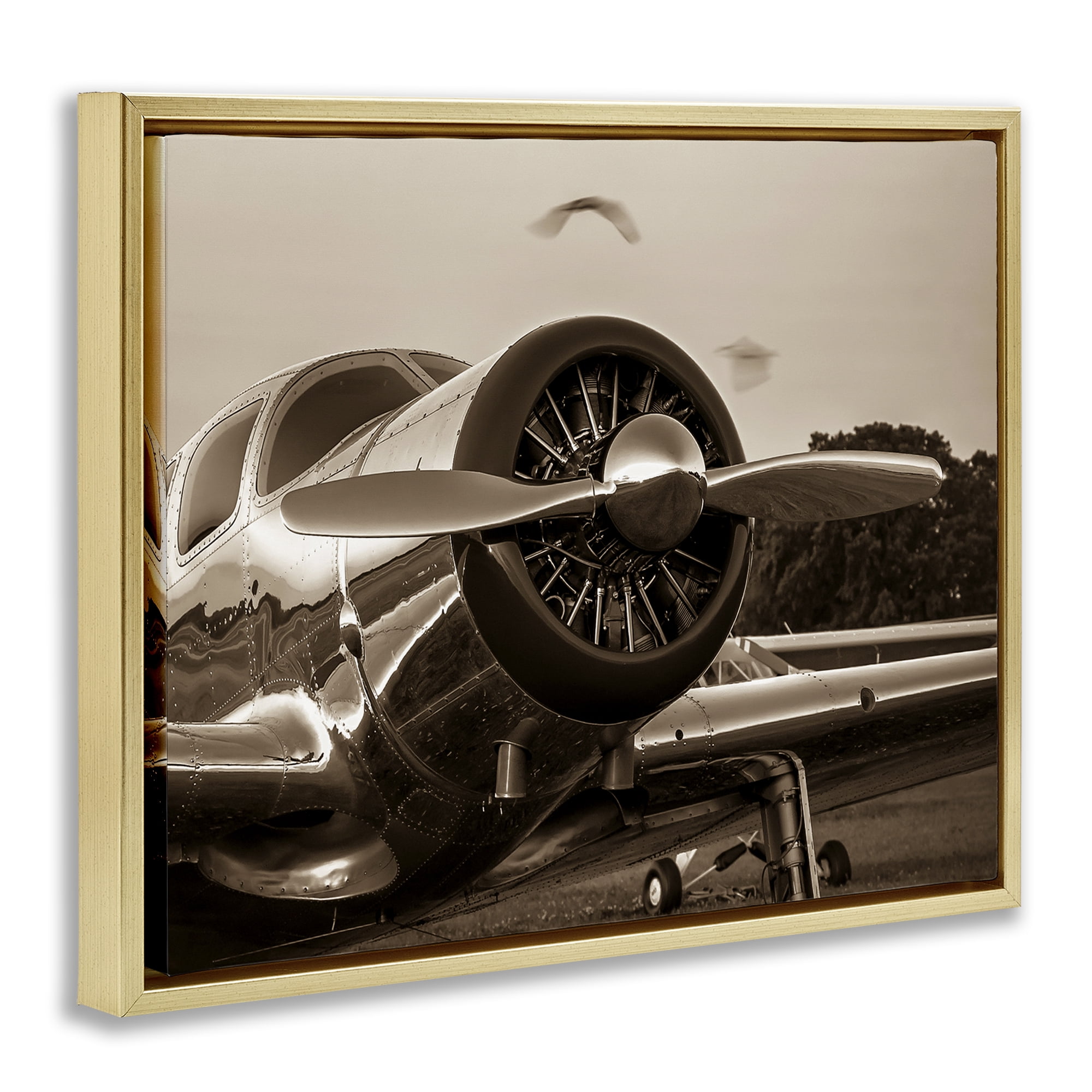 Stupell Industries Vintage Propeller View Transportation Photography Gold Floater Framed Canvas Art Print Wall Art, 21 x 17