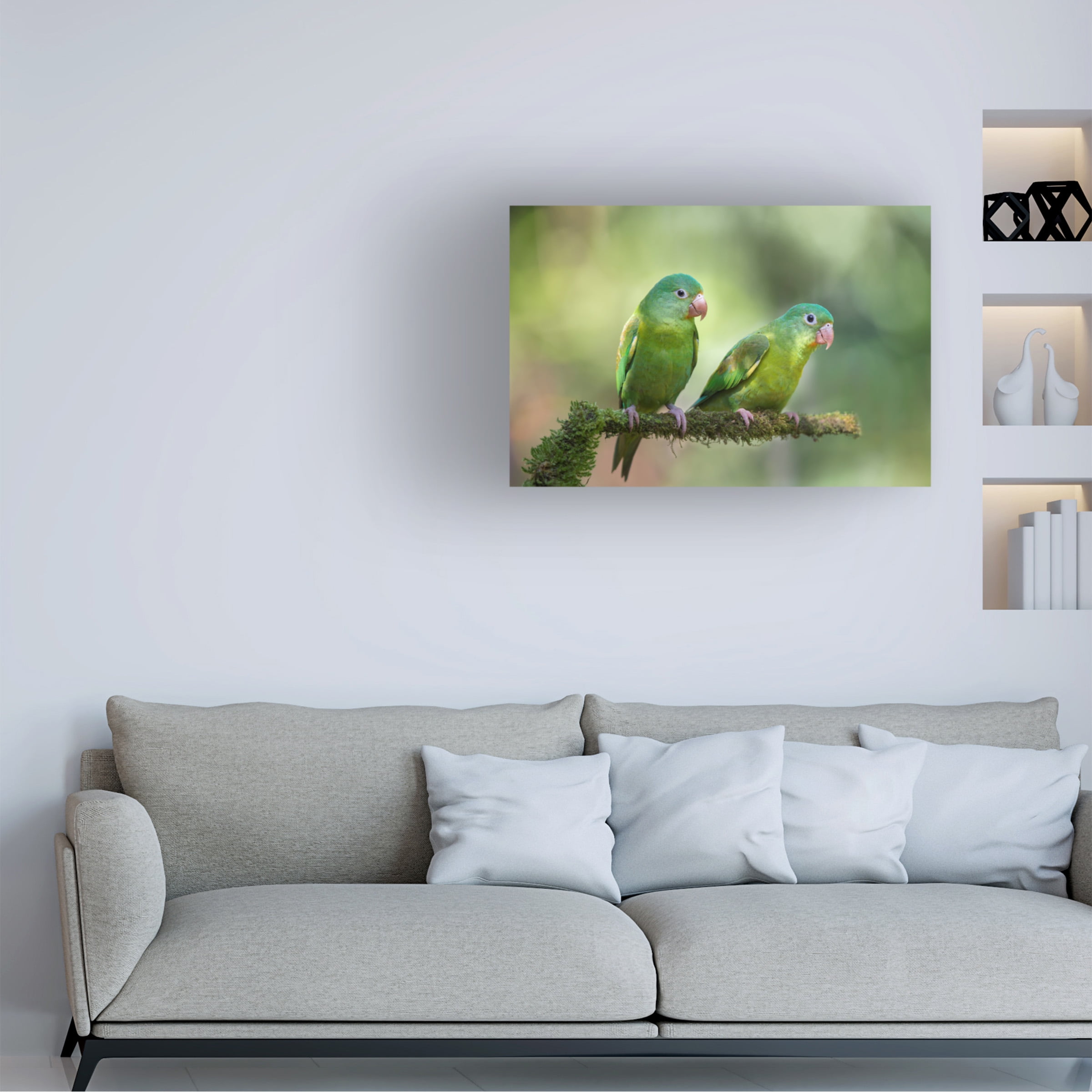 Greg Barsh 'Pair O Parakeets' Canvas Art