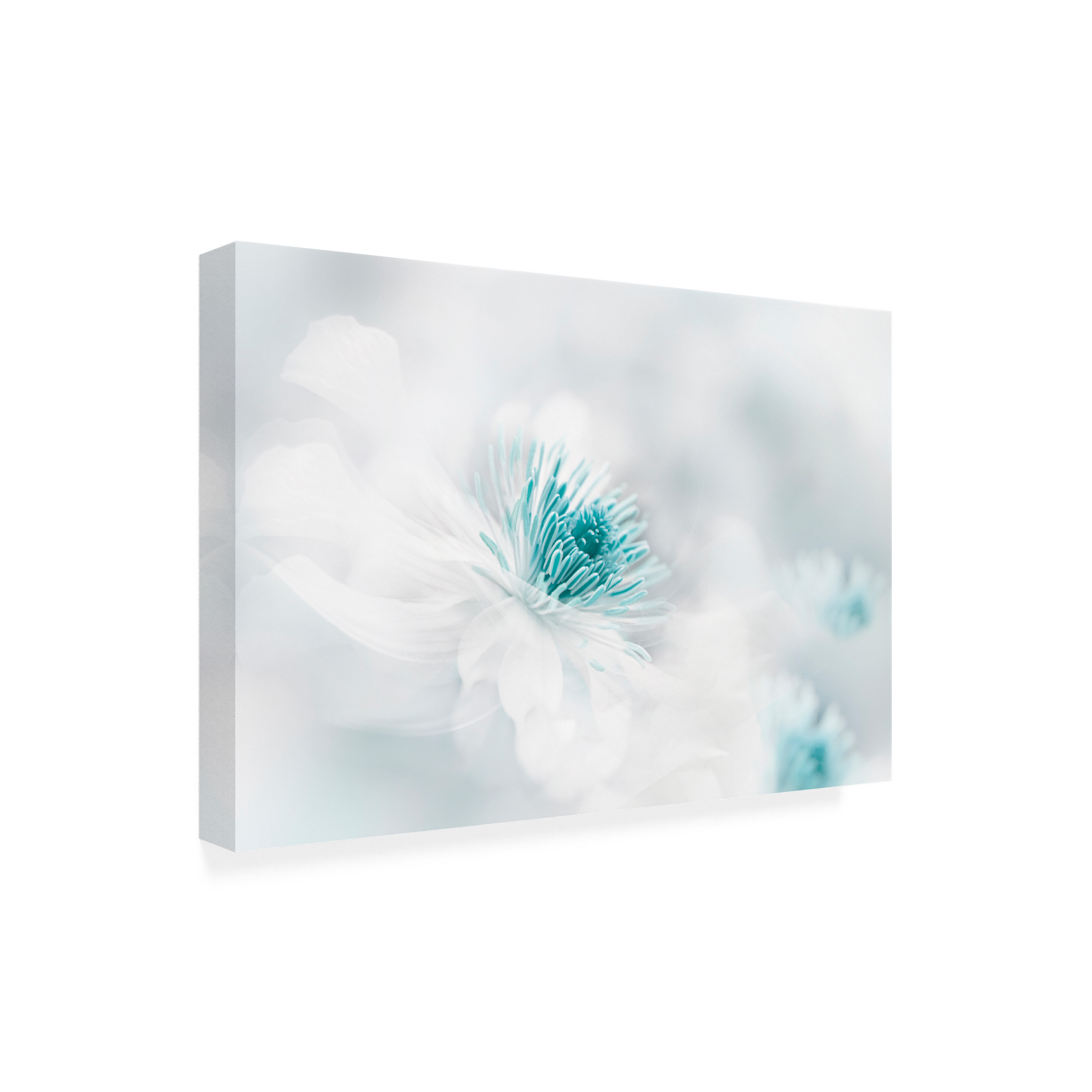 Trademark Fine Art Jacky Parker  Nirvana Canvas Wall Art