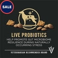 thumbnail image 2 of Joint Health Shredded Blend Chicken & Rice Formula Large Breed Dry Dog Food 34 lbs., 2 of 2