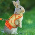 thumbnail image 5 of Rabbit Harness and Leash for Walking Escape Proof - Cute Carrot Pattern Mesh Breathable Bunny Vest Harness Outdoor Camping Hiking Training - Also Suit for Ferret Kitten Puppy Small Animals, 5 of 5