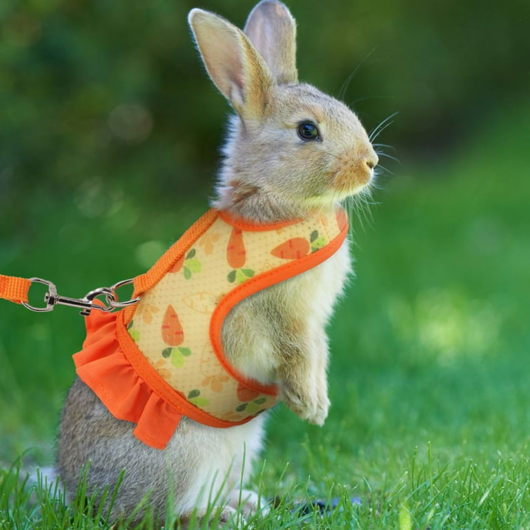 Bunny leash walmart hot sale