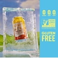 thumbnail image 3 of HopWtr - Non-Alcoholic Sparkling Hop Iced Tea & Lemonade, 6-Pack, 12oz Cans, 3 of 6