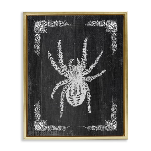 Stupell Industries Traditional Black & White Spider Gold Floating Frame Canvas Art, 25 x 31, by Lil' Rue