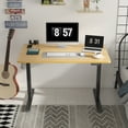 thumbnail image 3 of FunniHomi 48" x 30" Electric Height Adjustable Standing Desk with Hooks, Whole-Piece Desktop Cable Management Tray, and Built-in Power Outlet (Black Frame + Maple Top, 2 Packages), 3 of 11