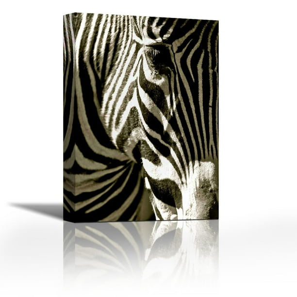 Zebra Head Contemporary Fine Art Giclee on Canvas Gallery Wrap wall