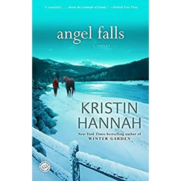 Pre-Owned Angel Falls : A Novel 9780345484277
