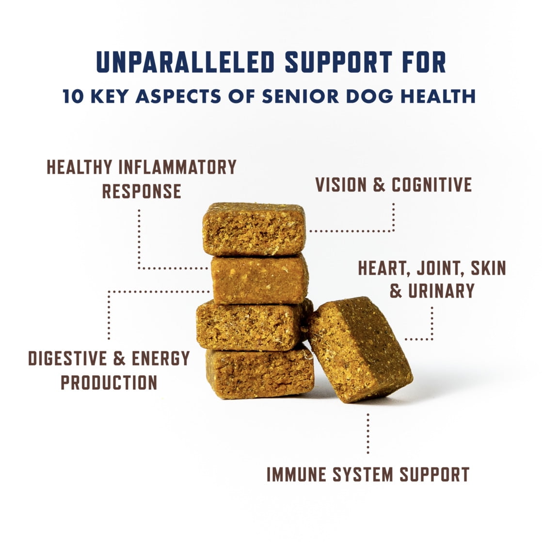 Rocco Roxie Multi Senior Chew for Dogs 60 Count