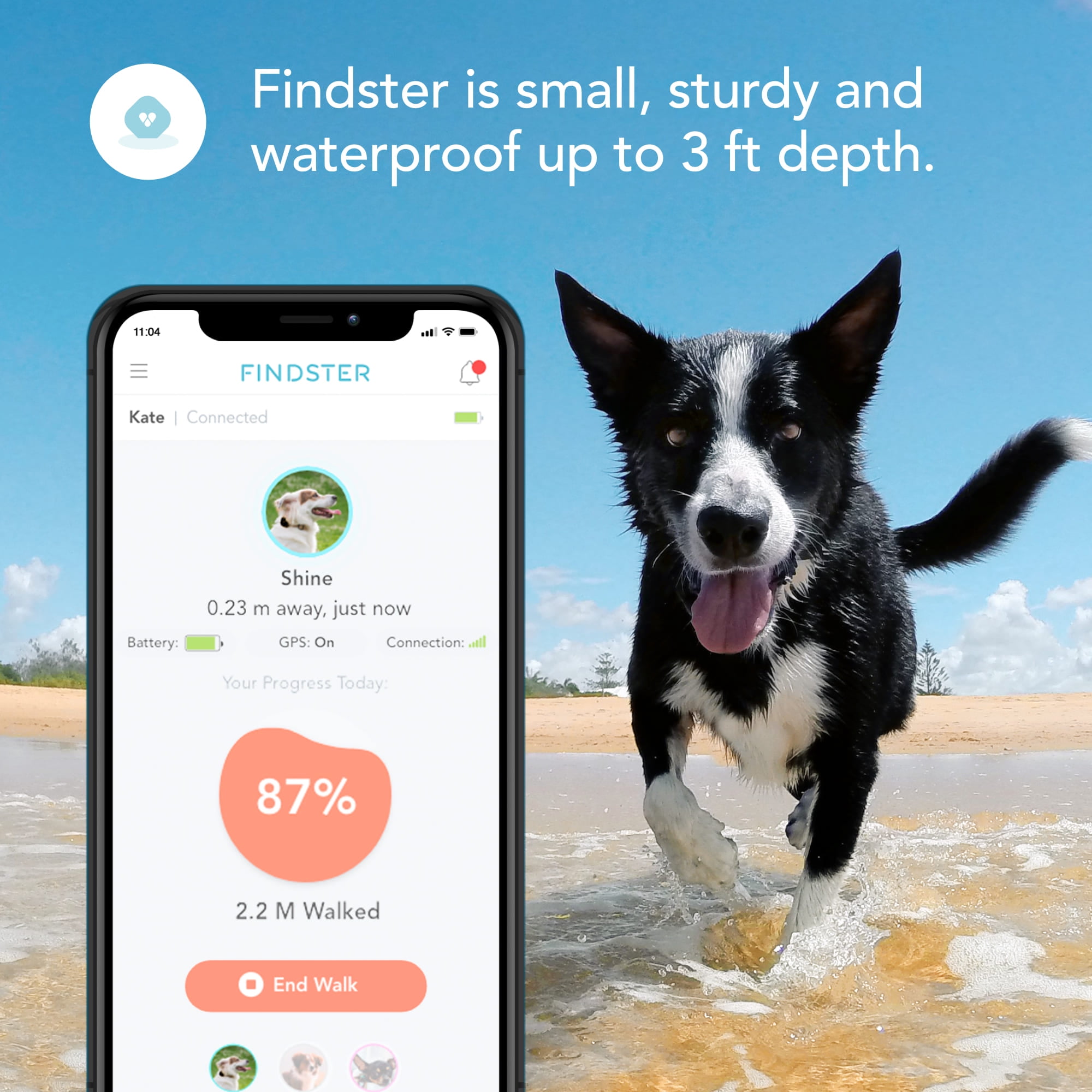 findster dog tracker uk