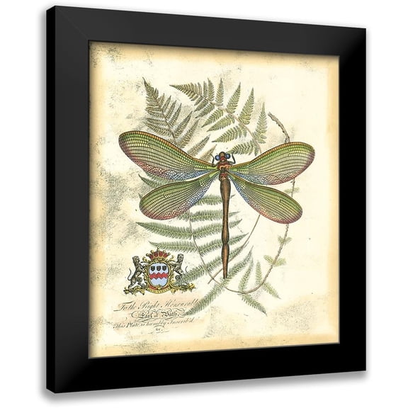 Vision Studio 12x13 Black Modern Framed Museum Art Print Titled - Mini Regal Dragonfly II