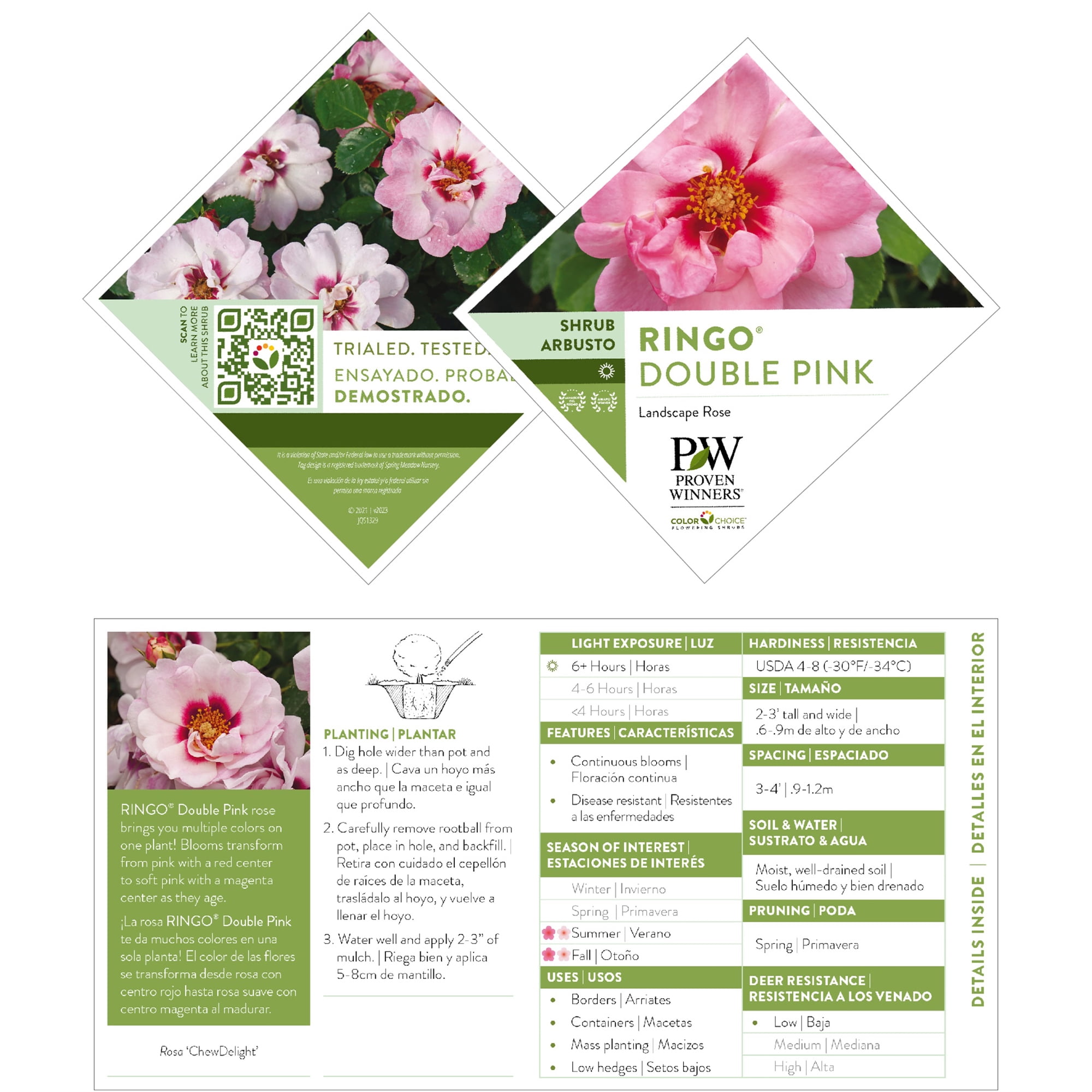 Proven Winners ColorChoice Ringo Double Pink Rose Live Shrub (2 Gallon)