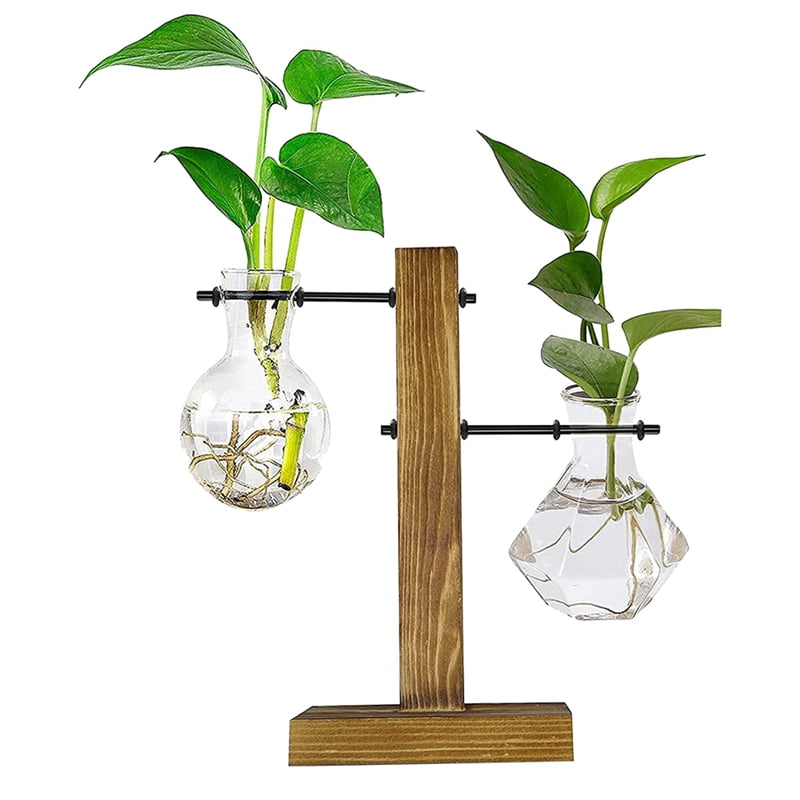 Plant Terrarium with Wooden Stand,Desktop Water Planting Glass Vase