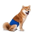thumbnail image 4 of Mosey Cozy Puppy Diaper Non-shrink   for Female Dogs   Non-sticky Hair, 4 of 7
