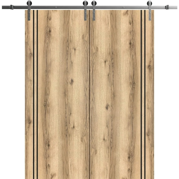 Sturdy Double Barn Door 36 x 80 inches with | Planum 0016 Oak with Frosted Glass | Stainless Steel 13FT Rail Hangers Heavy Set | Solid Panel Interior Doors