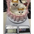 thumbnail image 4 of Perro de peluche de simulación | Muñeco de peluche realista que emite sonidos | Juguete interactivo para niños pequeños | Juguete sensorial educativo para la decoración del hogar, 4 of 4