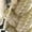 BEIGE, variant on AUQ Belt,High Elastic Woven Design Belts for Women,Western Outfit for Women,Blue,42in