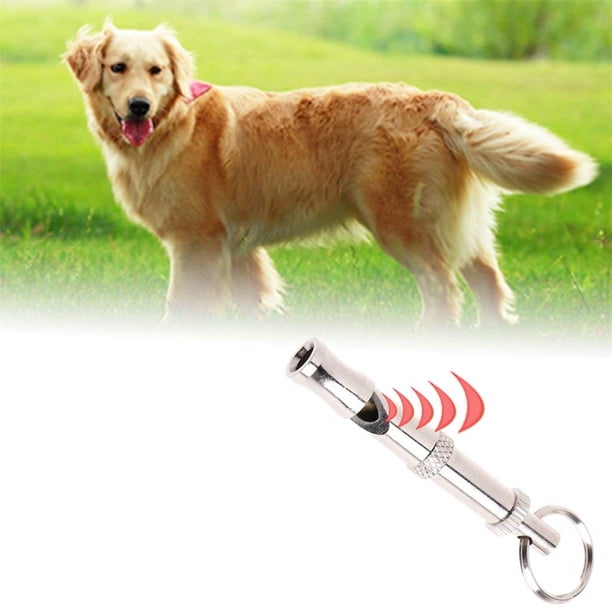 Silbato de Entrenamiento Ultrasónico para Mascotas Silbato para Perros Silbato Chapado en Cobre con Anillo Colgante para Entrenar Perros ANGGREK Otros
