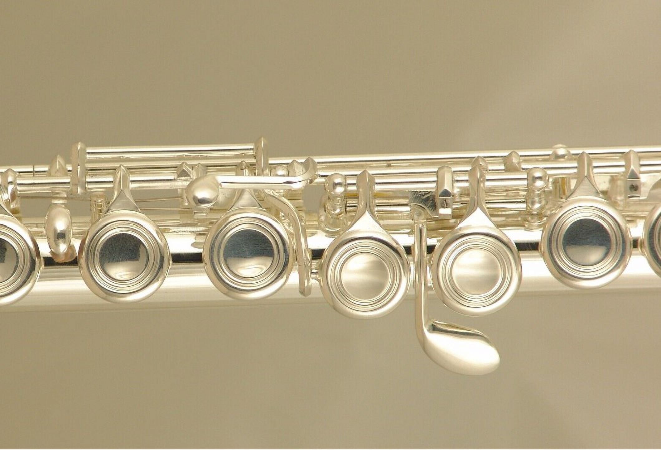 Wisemann 0901FL Flute, C 16holes, offline, silver plated finish, with canvas case