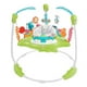 thumbnail image 1 of Silla Saltarina Fisher Price Diversión En El Gimnasio, 1 of 3