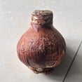 thumbnail image 3 of Amaryllis, Low Maintenance - Easy Grow - Ideal for Beds Borders, Plant Pots & Planters, 3 of 3