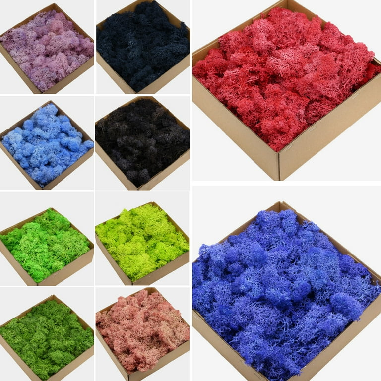 Imports Fresh Dried Forest Green Moss, Naturally Preserved, Loose Chunks,1  Box Eternal Life Dried Moss Mini Landscape Decor DIY Flower Craft Accessory