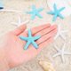 thumbnail image 5 of Estrellas de mar de 2,2 pulgadas con forma de lápiz, 16 piezas, adornos náuticos de resina para playa, bodas, fiestas, árboles de Navidad y hogar., 5 of 8