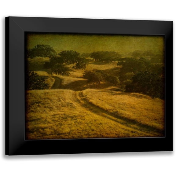 Guion, William 14x12 Black Modern Framed Museum Art Print Titled - Ranch Road and Oak Savannah