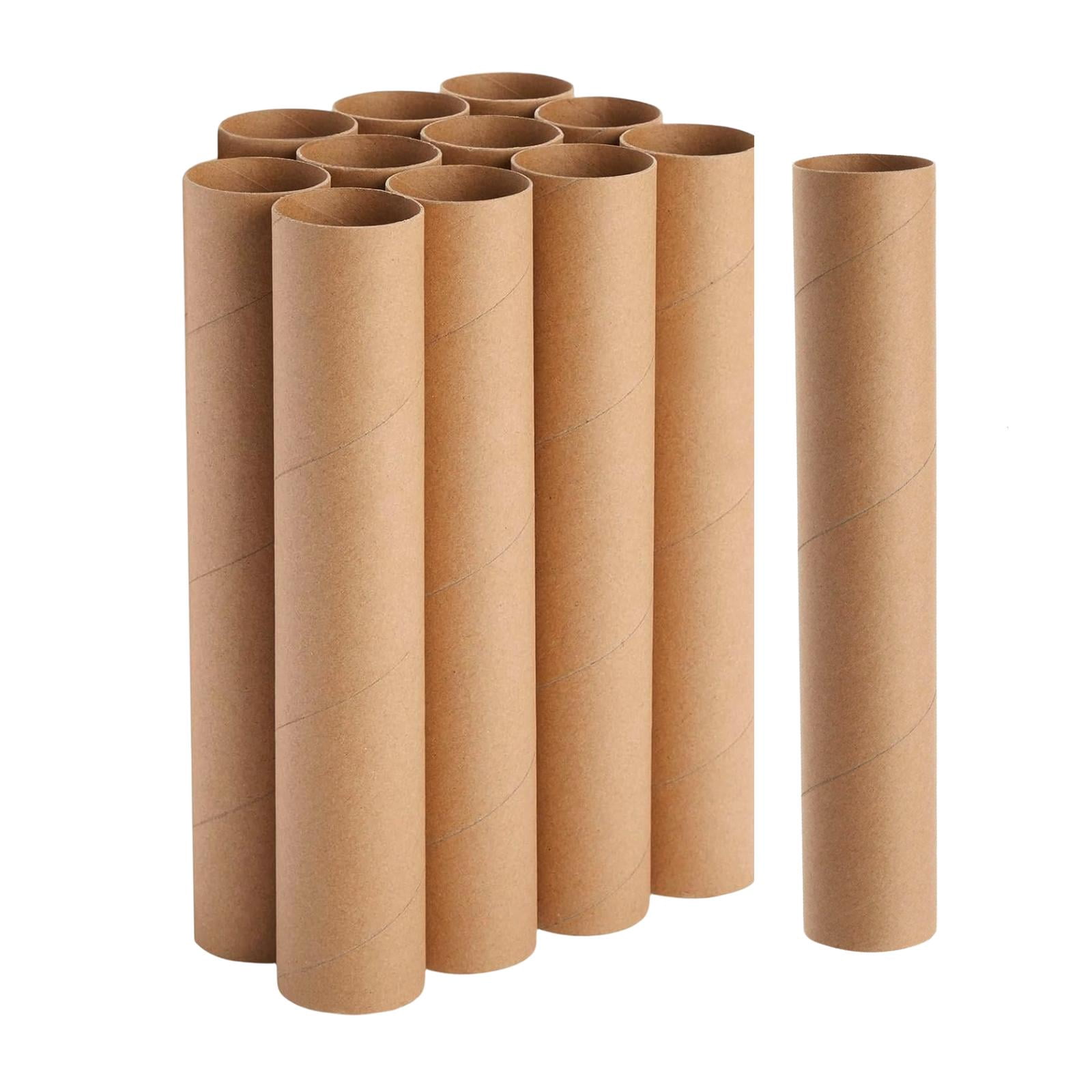 FVDPWYE 12 Pieces Cardboard Tubes Paper Towel Tubes for Family DIY Projects Handmade 30cm