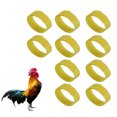 thumbnail image 3 of Noise Free Chicken Collars, Hook And  Rooster Collars Adjustable 7.1x0.8in  For Disturbing Neighbors Blue,Green,Yellow, 3 of 8