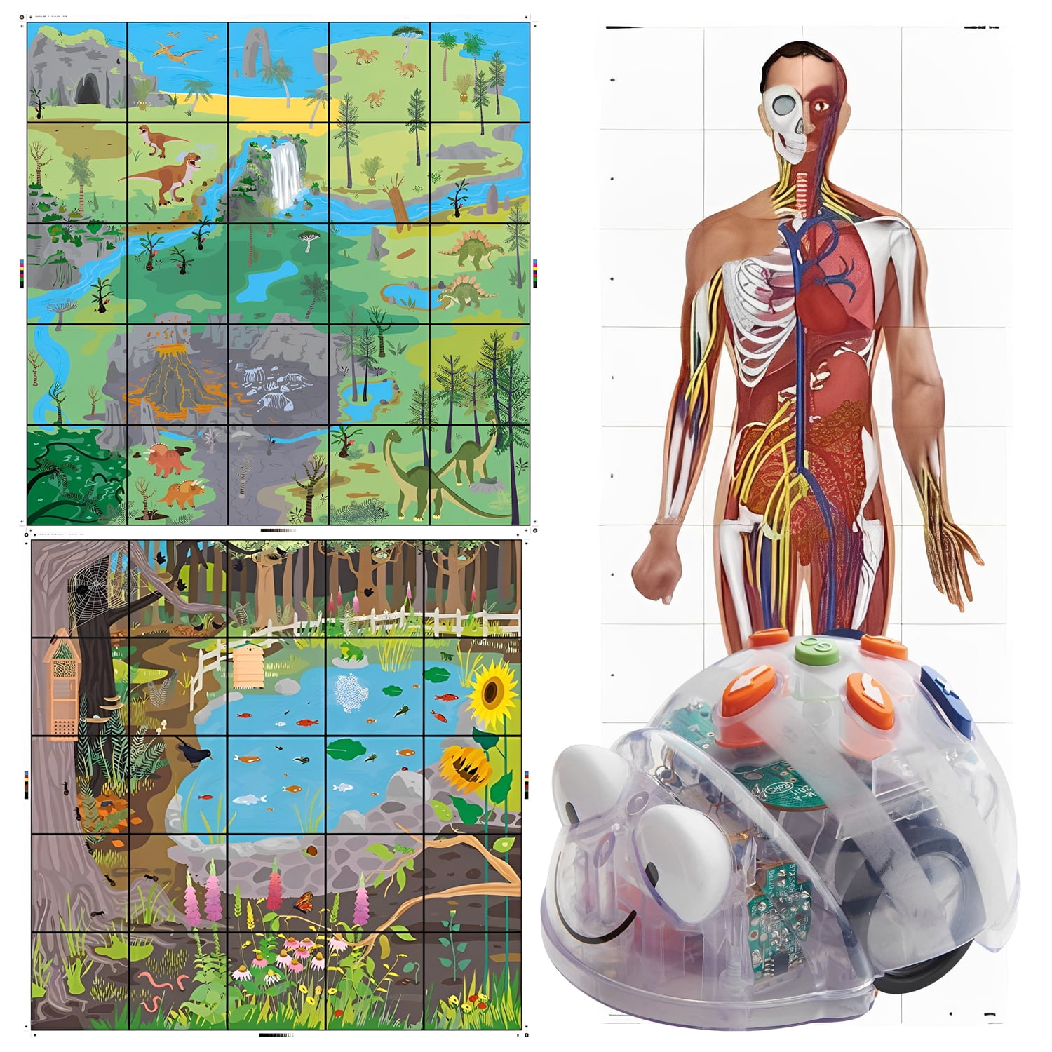 BlueBot Bluetooth Programmable Robot Human Body BeeBot Mat BeeBot Dinosaur Mat BlueBot