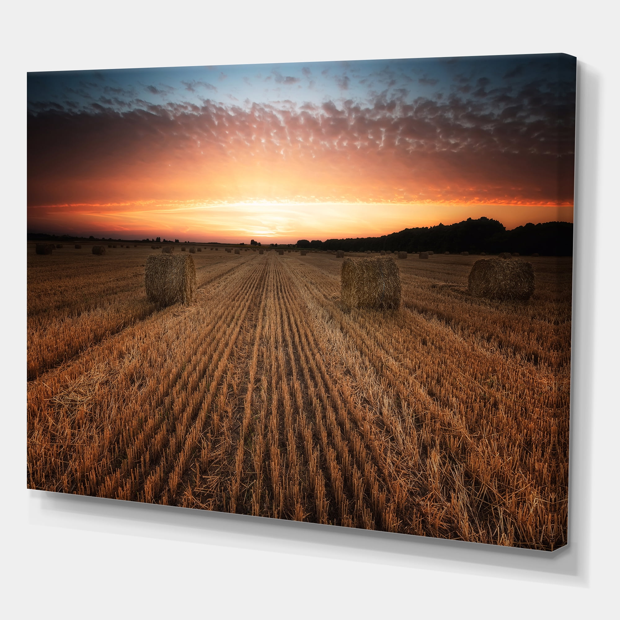 A Field Full of Hay Bales At Sunset Landscape 32 in x 16 in Photography Canvas Art Print, by Designart