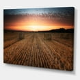 thumbnail image 3 of Designart ' A Field Full of Hay Bales At Sunset Landscape ' Farmhouse Canvas Wall Art Print, 3 of 4