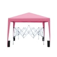 thumbnail image 3 of Pop Up Canopy Tent 10x10, Instant Outdoor Gazebo with Removable Sidewalls, Portable Shade Shelter with 4 Sand Bags & Carry Bag for Patio, Party, Beach, Camping, Pink, 3 of 11
