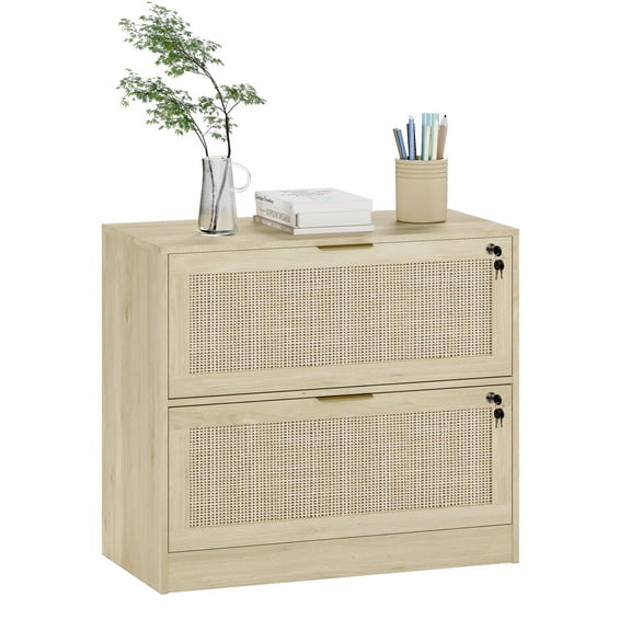 Coewske 2-Drawer File Cabinet Lateral Filing Cabinet Printer Stand w/ Lock Home Office Nature