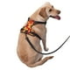 thumbnail image 2 of Balery Red Vintage Flowers Arnés para Perros Grandes Antitirones, Arnés con Correa para Gato, Arnés Tipo Chaleco para Perros Pequeños-Large, 2 of 6