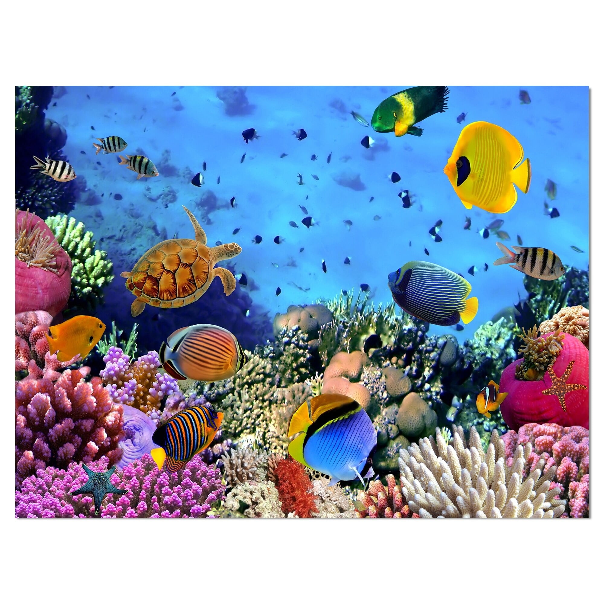 DESIGN ART Designart 'Coral Reef Coral Colony' Sea & Shore Nautical