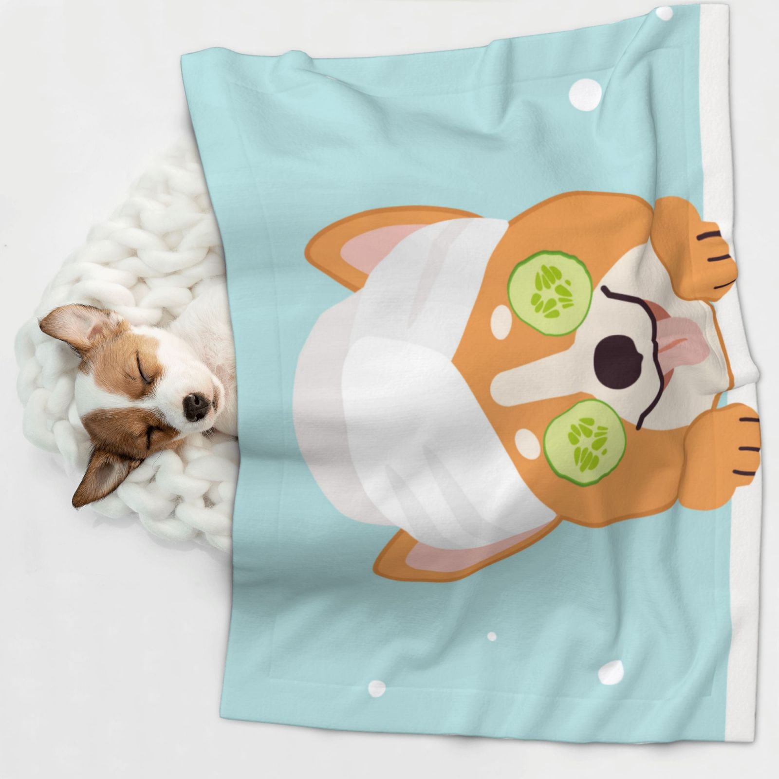 Naloa Corgi With Towel Ans Slice Cucumber Dog Blanket, 3 Sizes Cat Blanket for Indoor Cats Large Medium Small Dog Gifts-Small