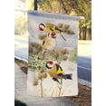 thumbnail image 2 of Carolines Treasures ASA2007CHF Drapeau Européen en Chardonneret Toile Taille Maison, 2 of 4