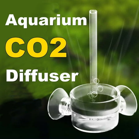 glass aquarium co2 supply