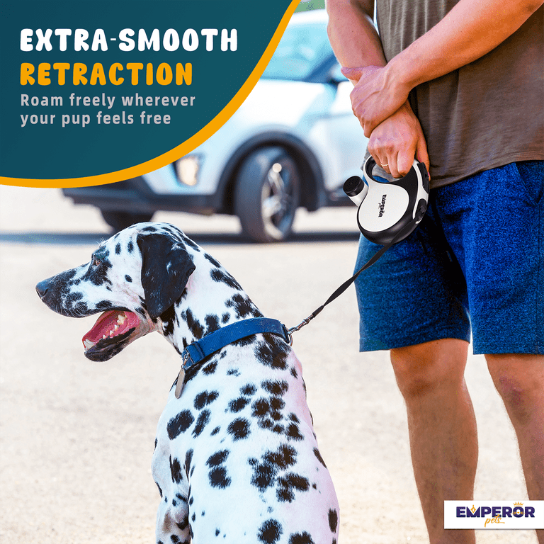 automatic water bowl for large dogs 2.4 Gallon Gravity Pet Water Dispenser with 304 Stainless Steel Bowl   LESOTC