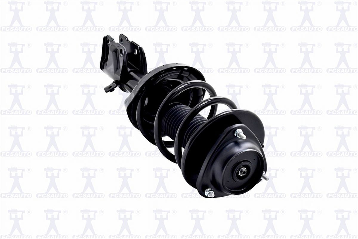 Suspension Strut and Coil Spring Assembly