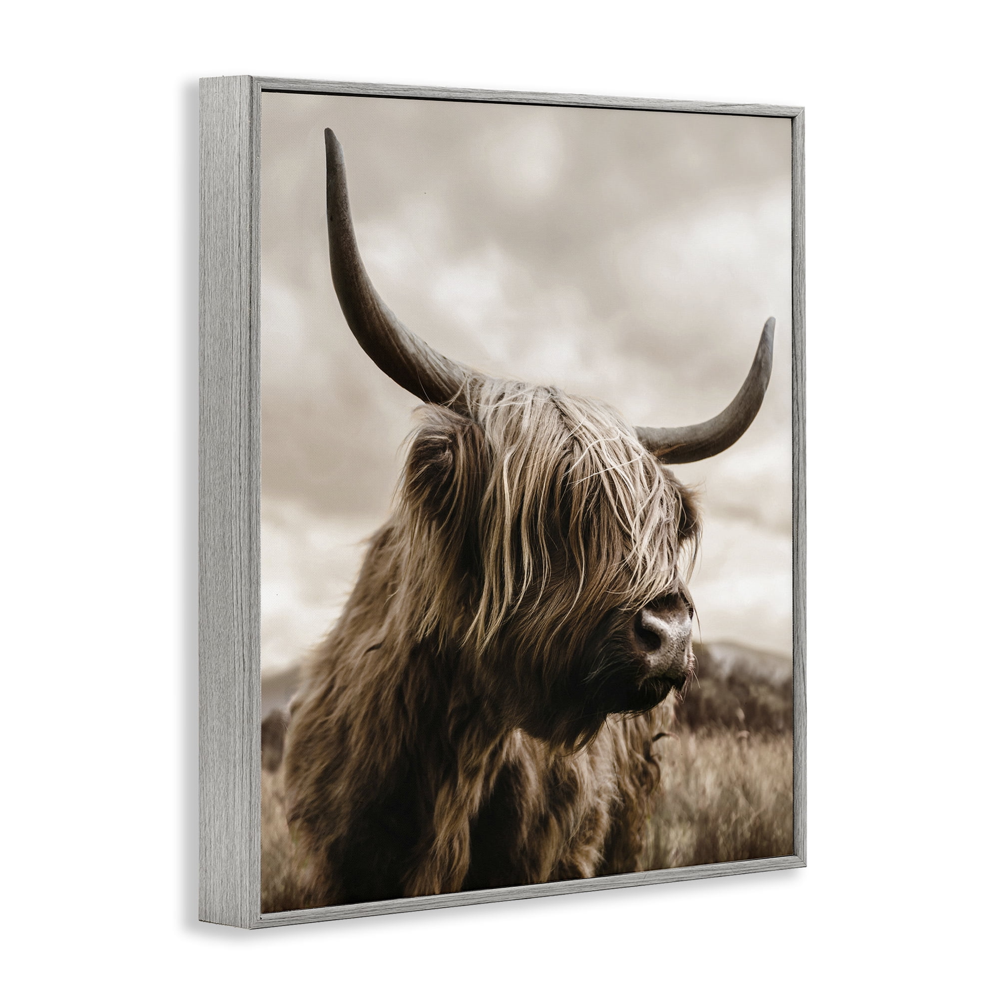 Stupell Industries Highland Cow on Windswept Moor Gray Framed Giclee Art, design by CAD Designs