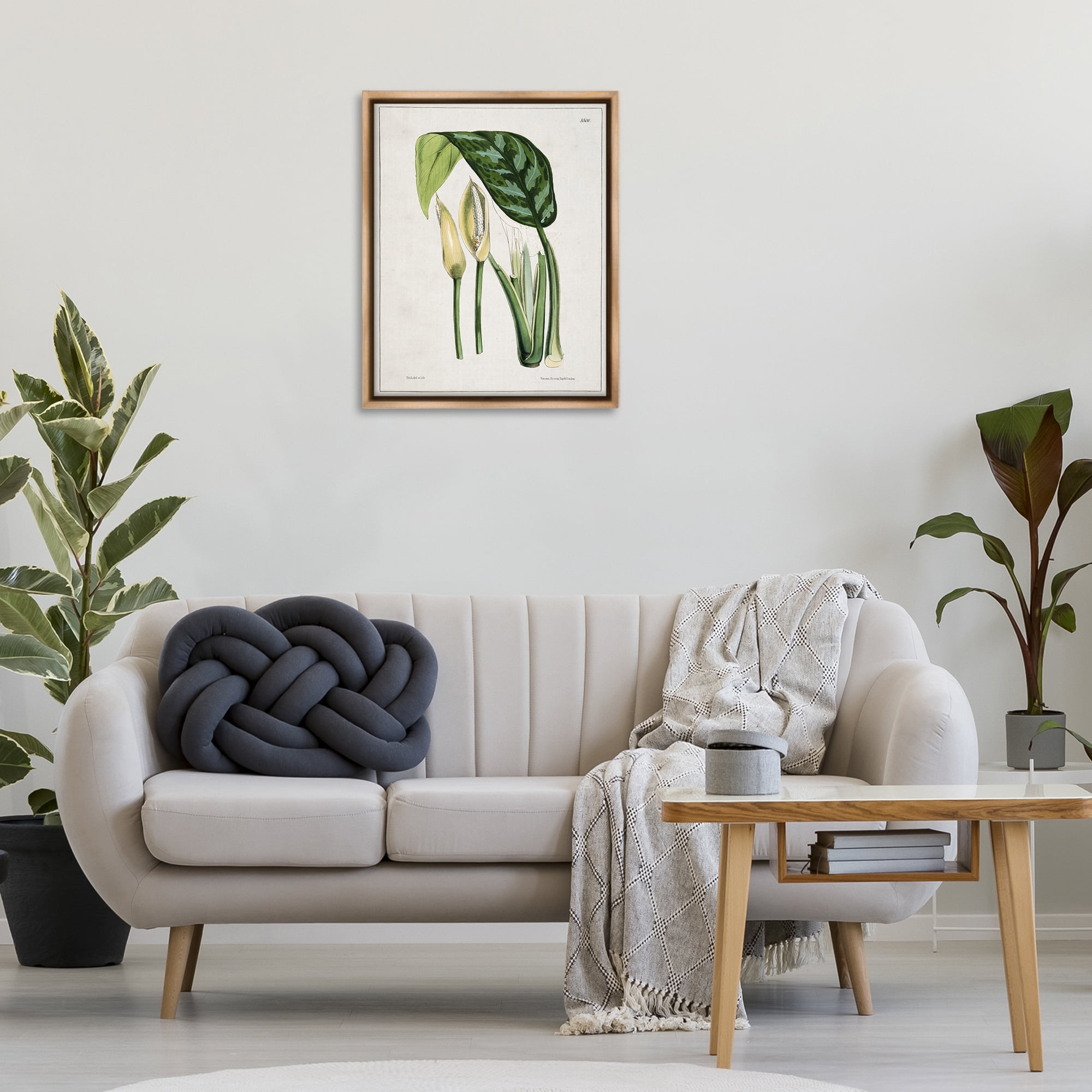 Stupell Industries Pond Plant Study Plants & Flowers Painting Brown Floater Framed Canvas Art Print Wall Art, 25 x 31