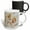 Multicolor, variant on 3drose, Close-up View of a Romantic White Rose, 11oz Mug